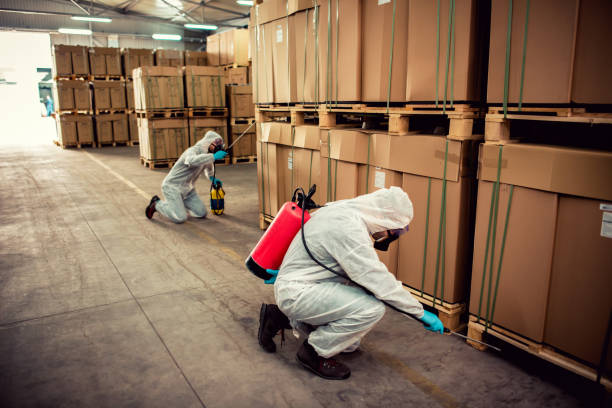 Best Best Pest Control Companies  in Jemison, AL