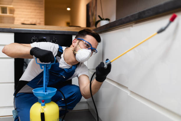Best Exterminator Services  in Jemison, AL