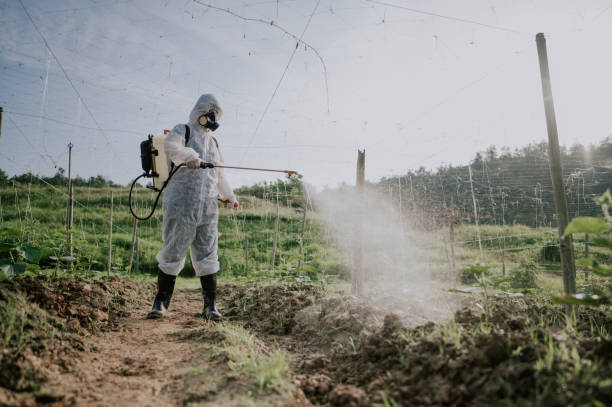 Best Mosquito Control Services  in Jemison, AL
