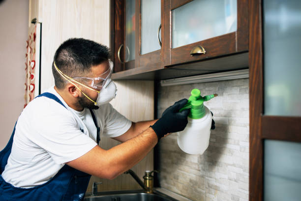 Best Wasp Removal Services  in Jemison, AL
