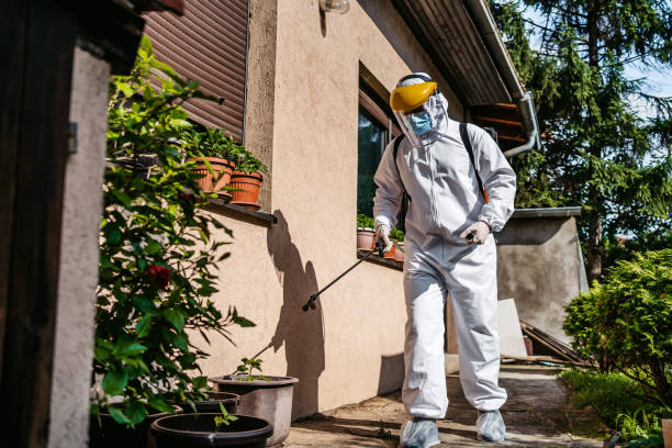 Best Affordable Pest Control Services  in Jemison, AL