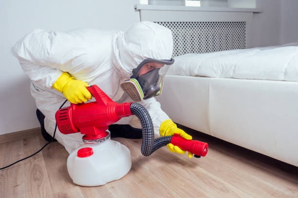 Best Emergency Pest Control  in Jemison, AL