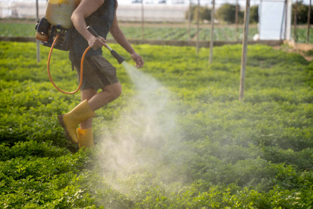 Insect Control in Jemison, AL