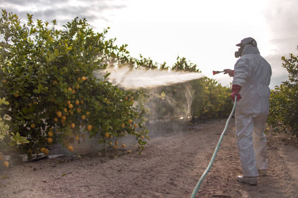 Best Rat Extermination Near Me  in Jemison, AL