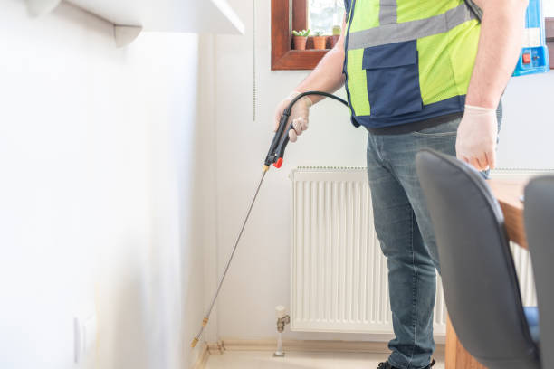 Best Affordable Pest Control Services  in Jemison, AL