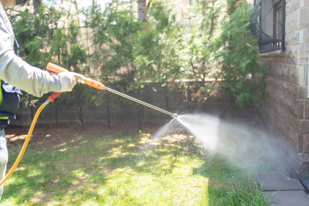 Best Spider Control Near Me  in Jemison, AL