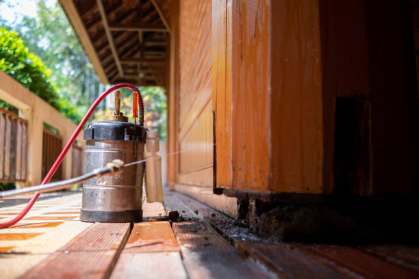 Best Pest Control Near Me  in Jemison, AL