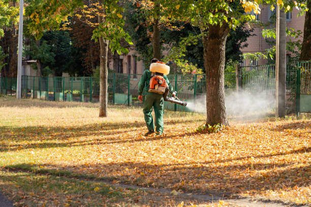 Best Best Pest Control Companies  in Jemison, AL