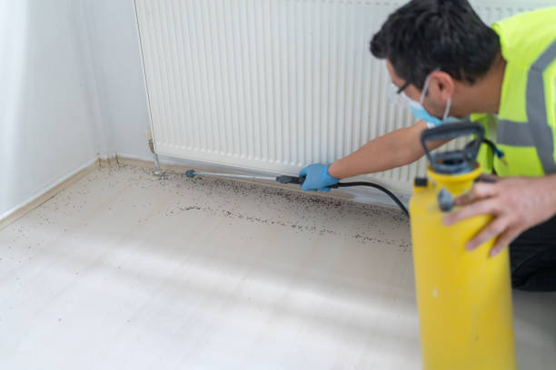 Best Best Pest Control Companies  in Jemison, AL