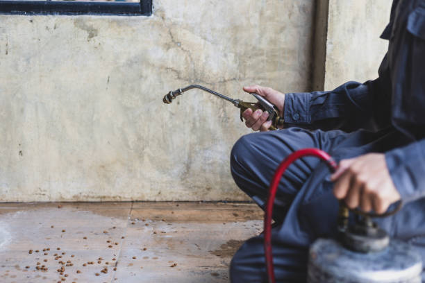 Best Best Pest Control Companies  in Jemison, AL